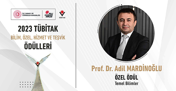 Prof. Dr. Adil Mardinoğlu