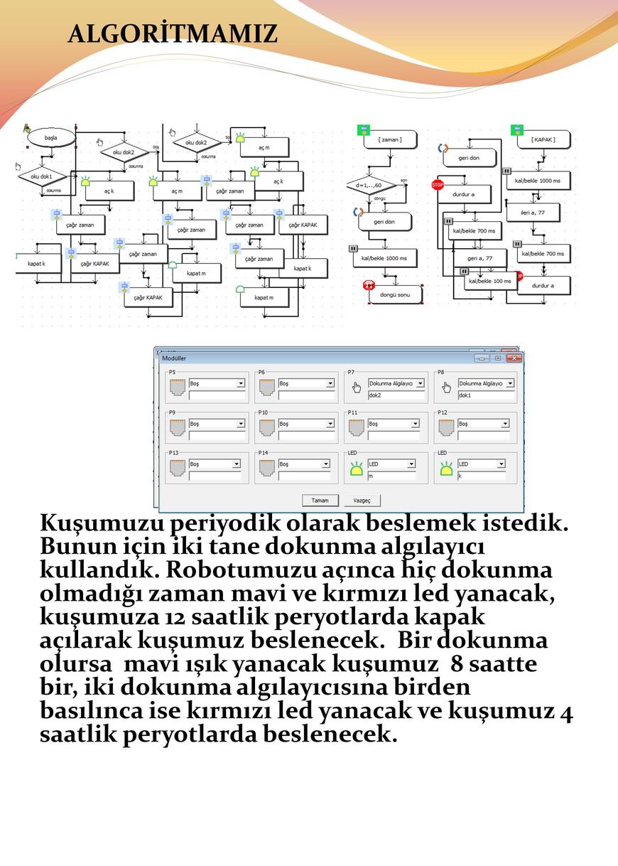 Robotik Kuş Yemleme Sistemi