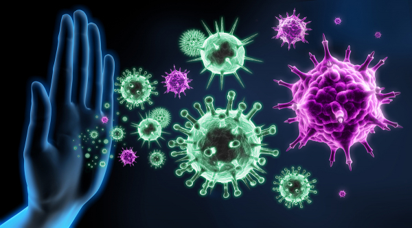 Bağışıklık Sistemi Hastalıklara Karşı Nasıl Korur?