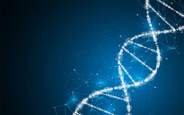 DNA Tabanlı İletken Nanoteller