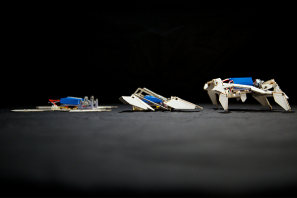 Katlanabilen Origami Robotlar