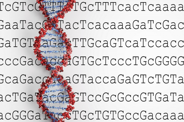 Genetik Kod Nedir?