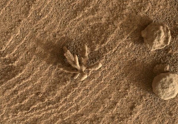 Mars Yüzeyinde Çiçek Şeklinde Bir Kayaç