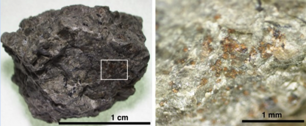 Mars’tan Gelen Bir Meteoritte Organik Madde Tespit Edildi