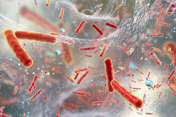 Yalnız Değiliz: Vücudumuzdaki Mikroorganizmalar