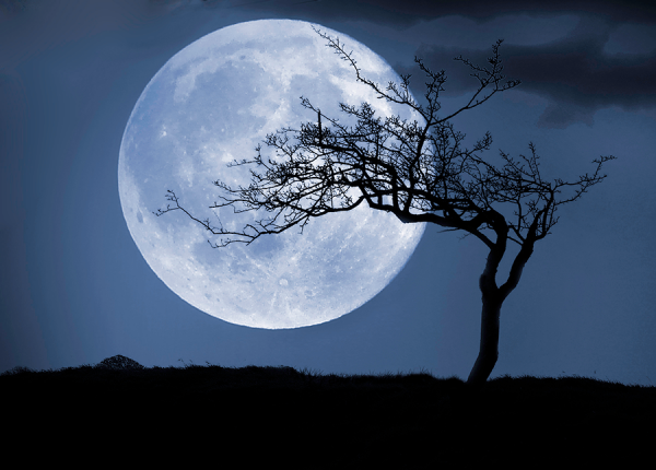 Fotoğraflar Köşesinde Mart Ayının Konusu “Ay”