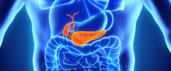 Biyonik Pankreas Sistemi