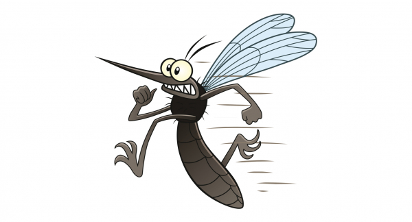 Sivrisineklerin Gizli Kaçış Yöntemi: Hayalet Kalkış
