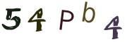 Resimli CAPTCHA