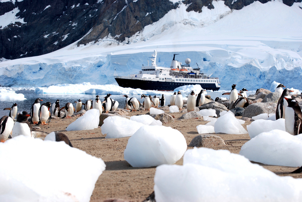 antarktika penguenler