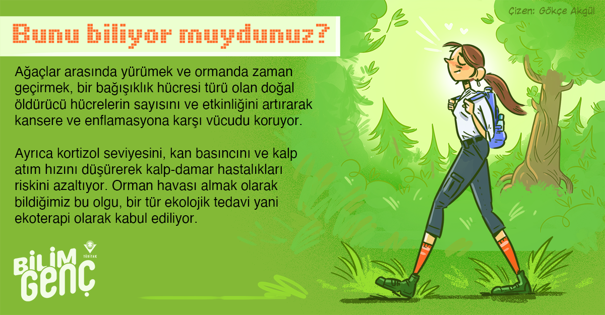 Ekoterapi T B TAK Bilim Gen 