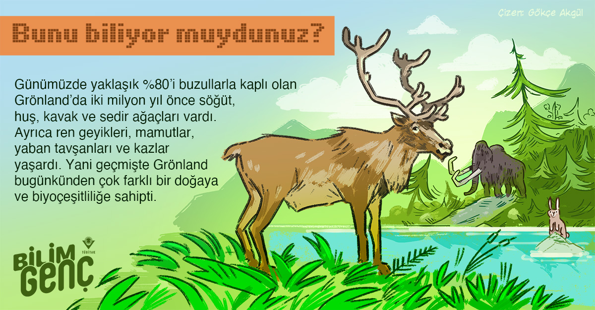 Bunlar Biliyor Musunuz Bilim Genc T B TAK Bilim Gen Bunlar Biliyor Musunuz Bilim Genc T B TAK Bilim Gen