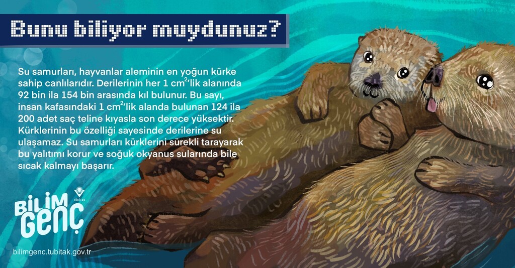 Su Samurları