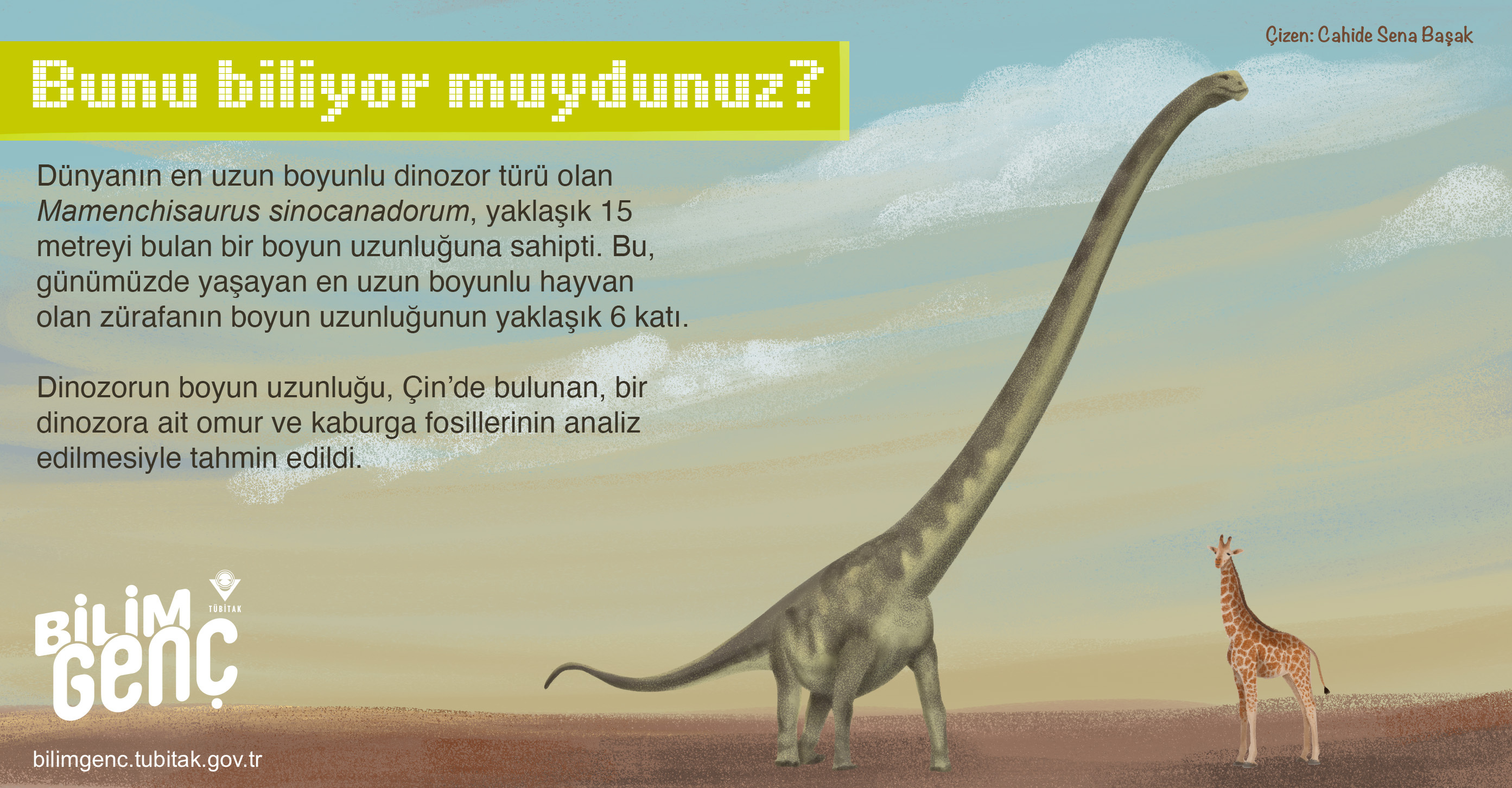En Uzun Dinozorun Boynu Zürafanınkinden Altı Kat Daha Uzundu