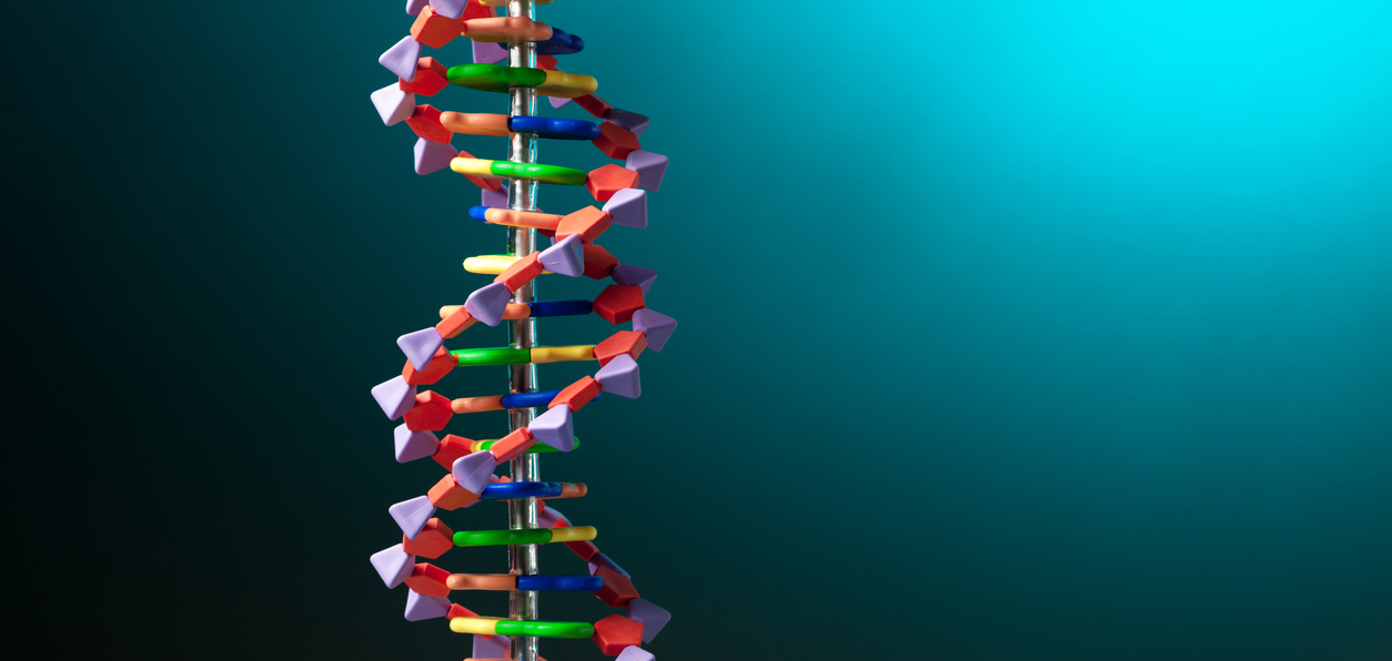 DNA’nın birbirine sarmal şekilde bağlanmış iki zincirden oluştuğu 1953’te Prof. Dr. James Watson ve Prof. Dr. Francis Crick tarafından keşfedilmişti.