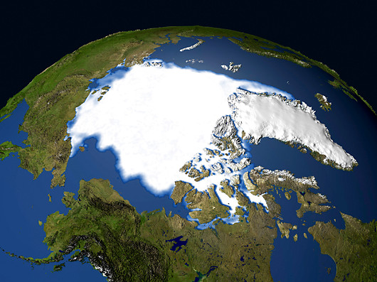 Kuzey Kutbu Buzları