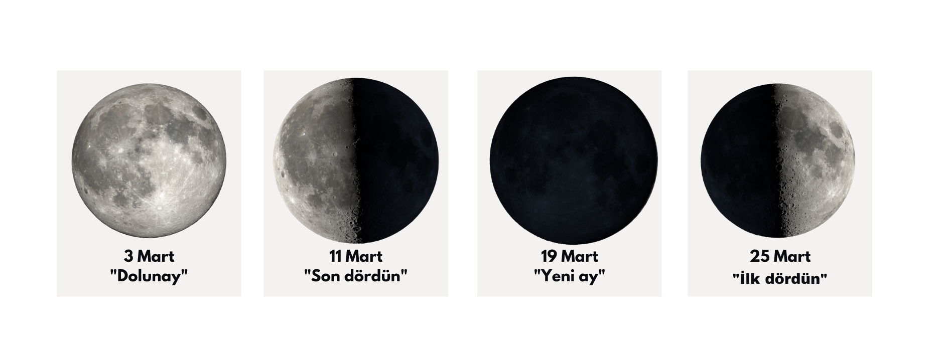 ayın evreleri