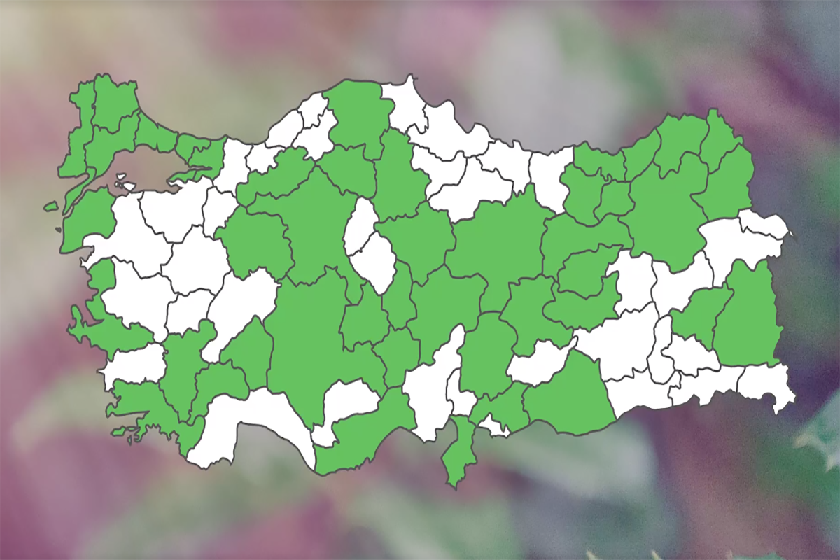 Türkiye dağılım