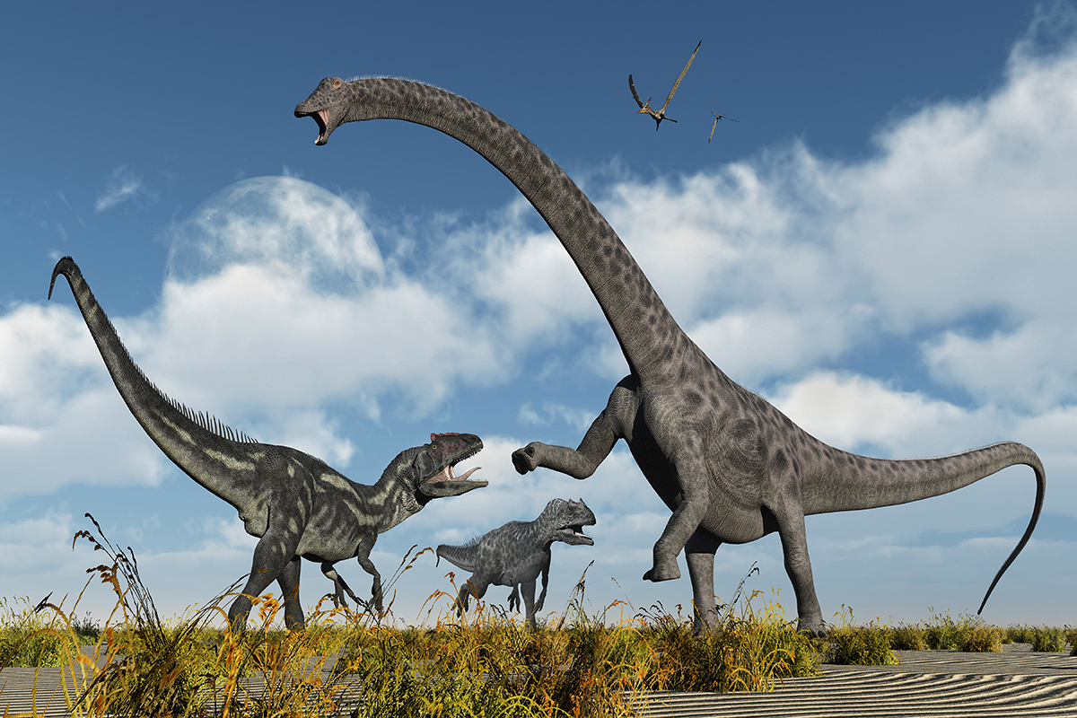 Diplodocus’ların kütleleri ise 10-16 ton arasındadır.