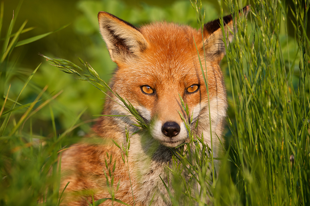 MarkBridger/ Moment/ Getty Images