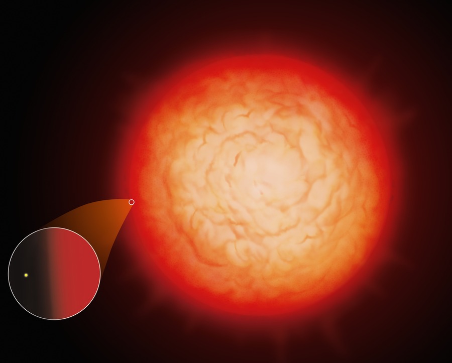 UY Scuti