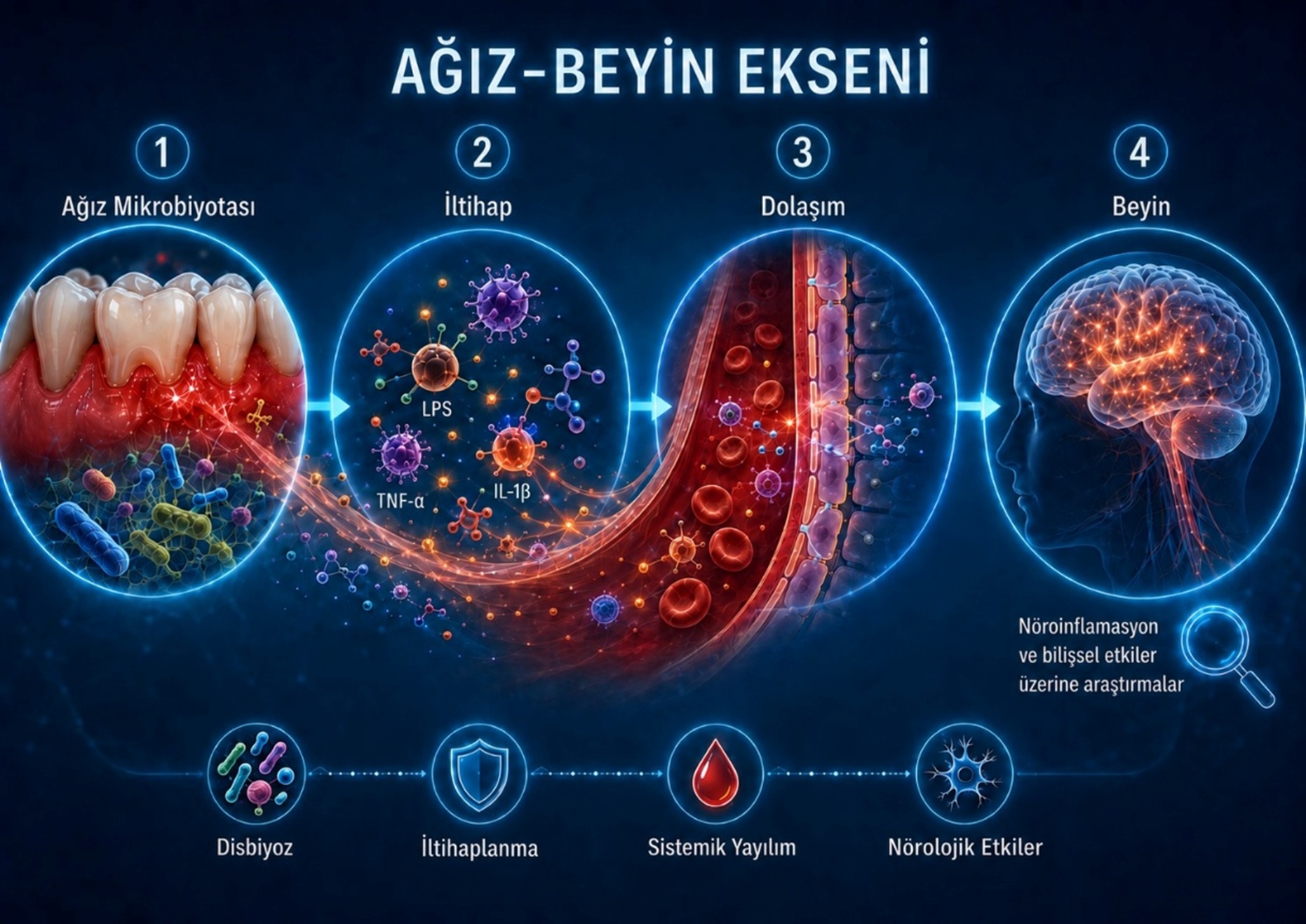 ağız beyin ekseni