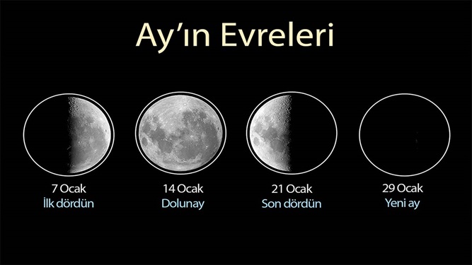 Ayın evreleri