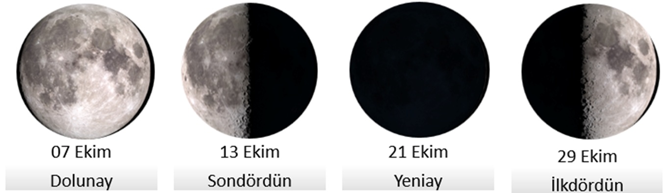 Ayın evreleri