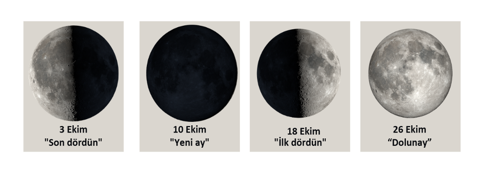 ayin evreleri