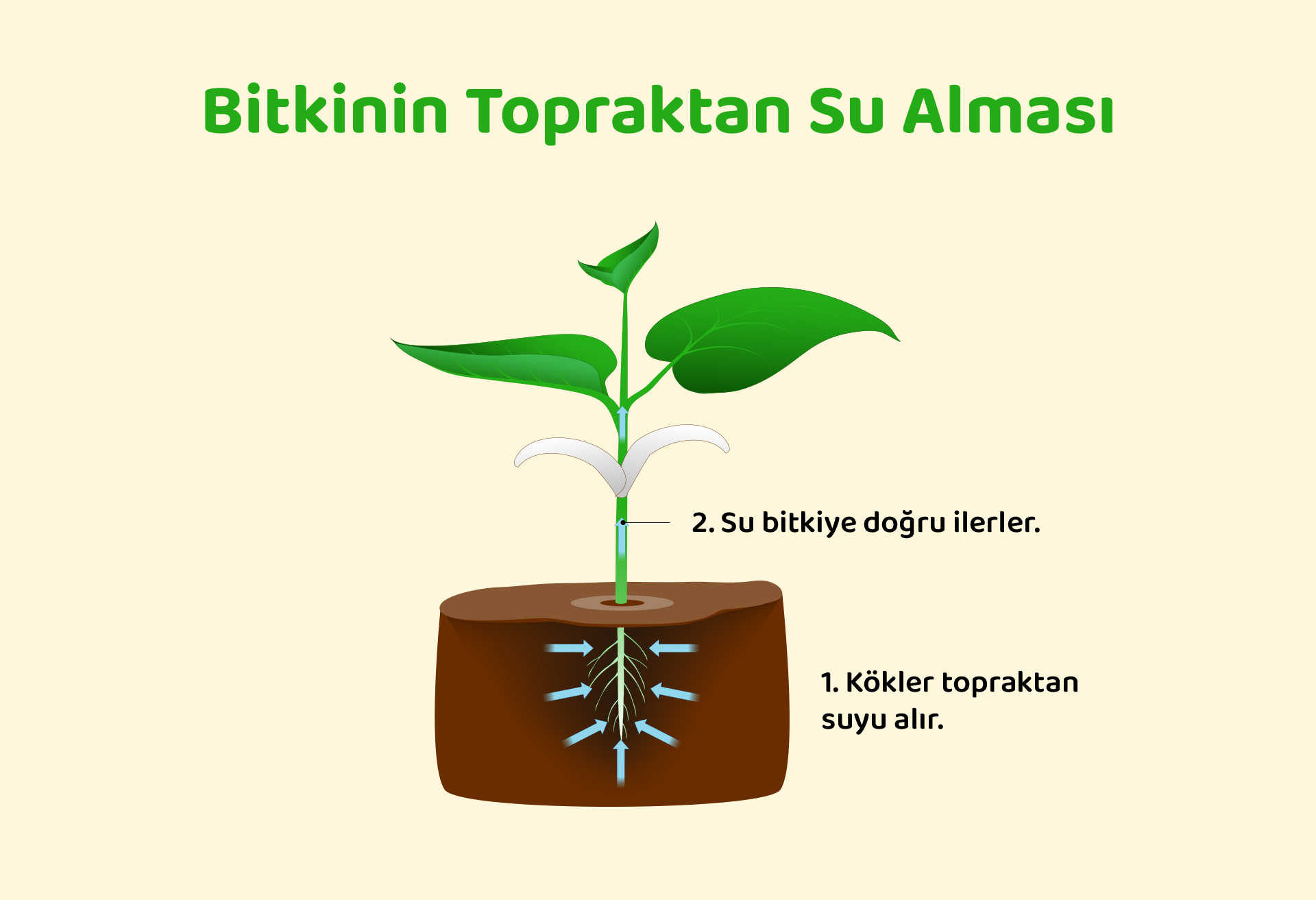 Ozmoz Nedir T B TAK Bilim Gen Dif zyon Ve Ozmoz Nedir Ortak Ve Ozmoz Nedir T B TAK Bilim Gen Dif zyon Ve Ozmoz Nedir Ortak Ve