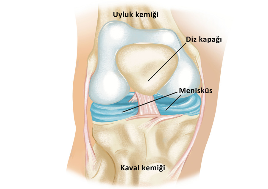 diz kapağı