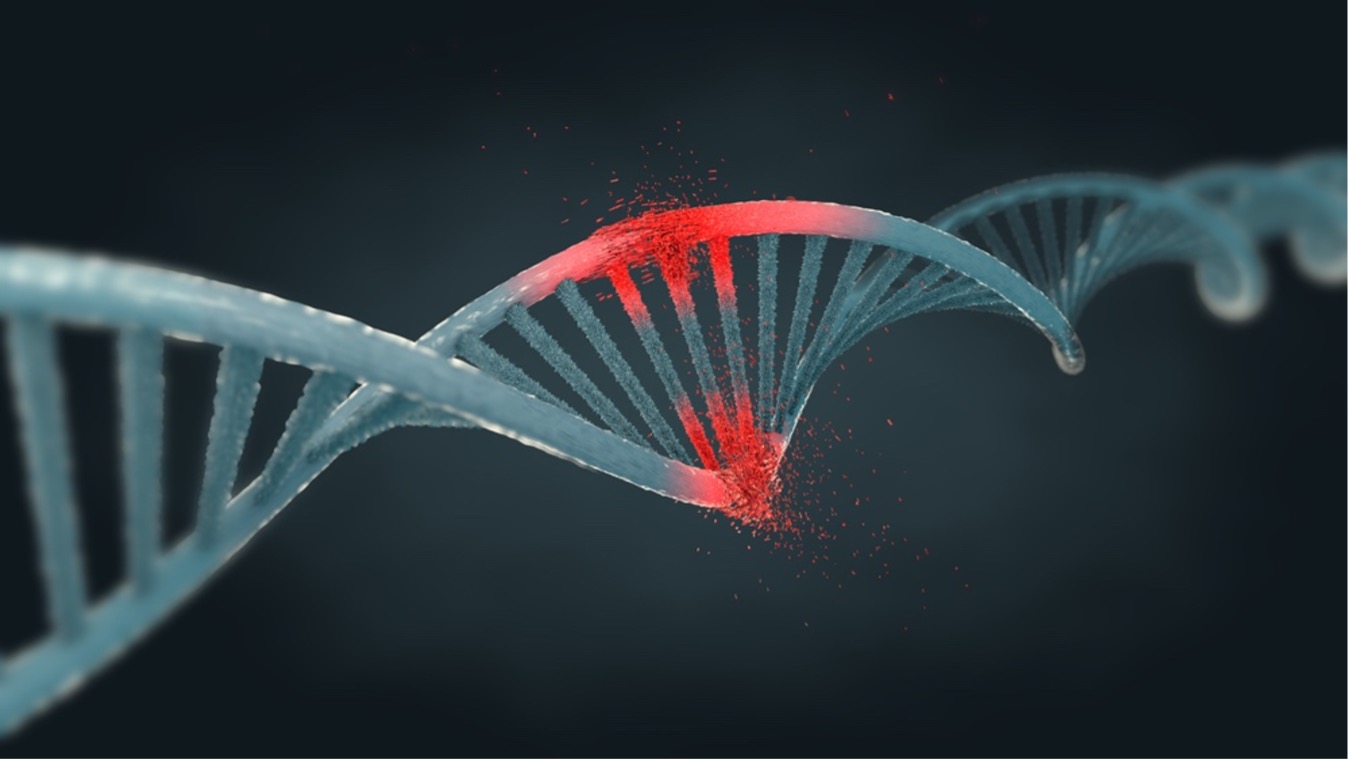 dna