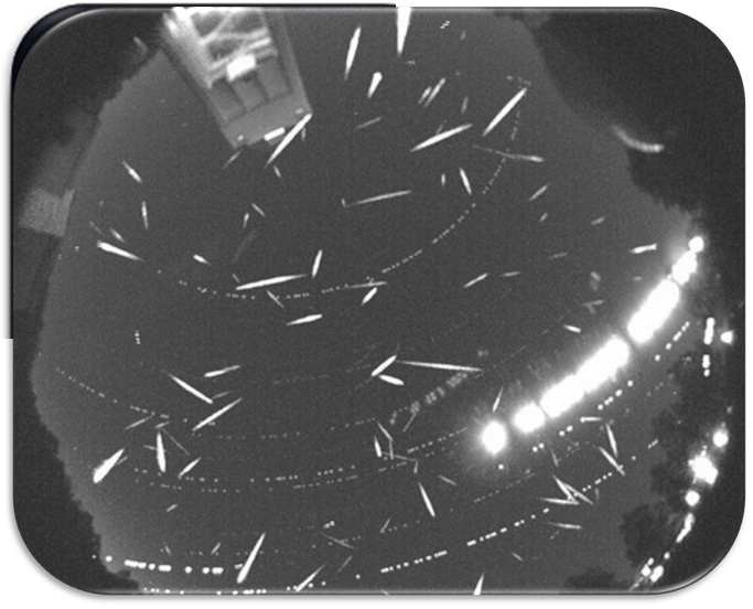 2014 yılında Geminid yağmuru sırasında alınmış görüntü (NASA)