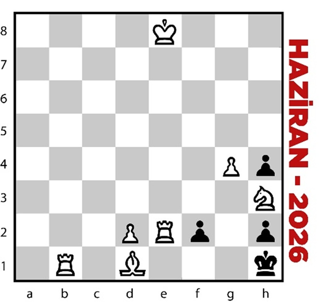 haziran 2026 satranç