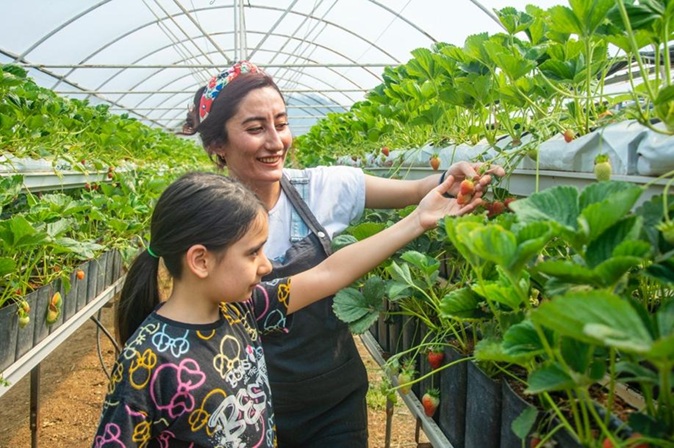 iyi tarım organik tarım farkları