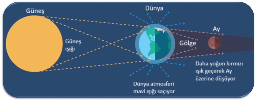 Ay Tutulması