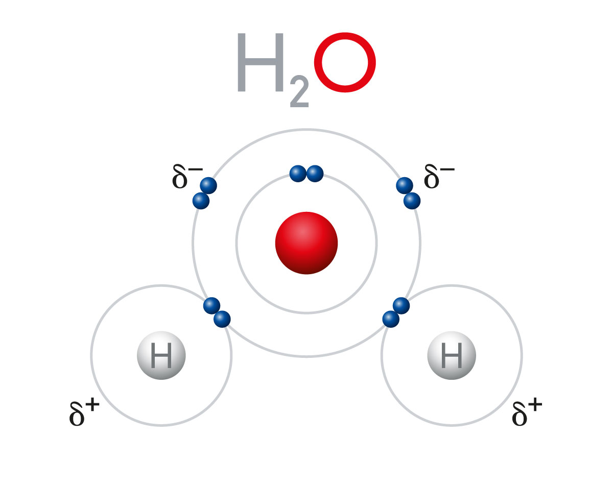 Su molekülünü oluşturan hidrojen ve oksijen atomları arasında polar kovalent bağ vardır.