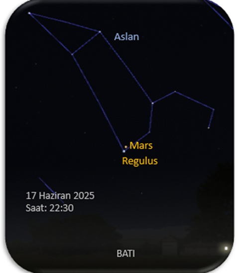 Mars regulus