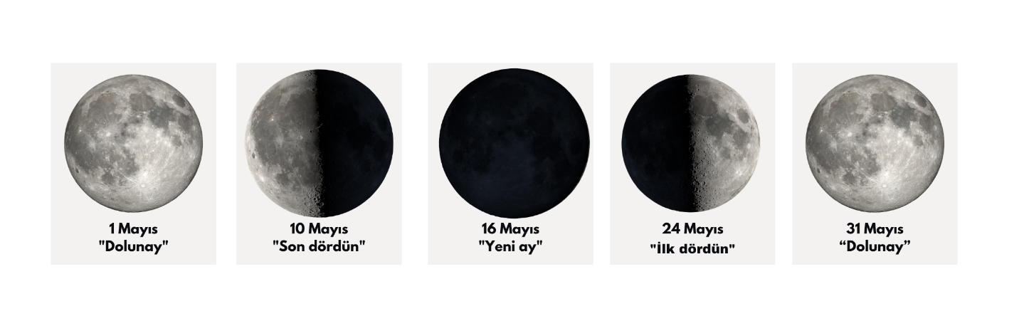 Ay’ın evreleri