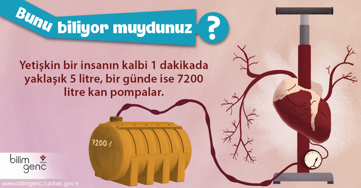 Bunu biliyor muydunuz?