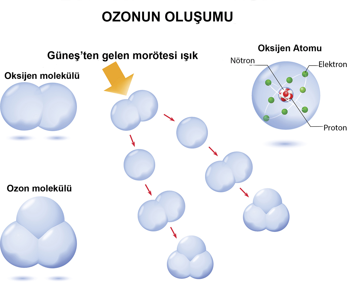 Oksijen molekülü
