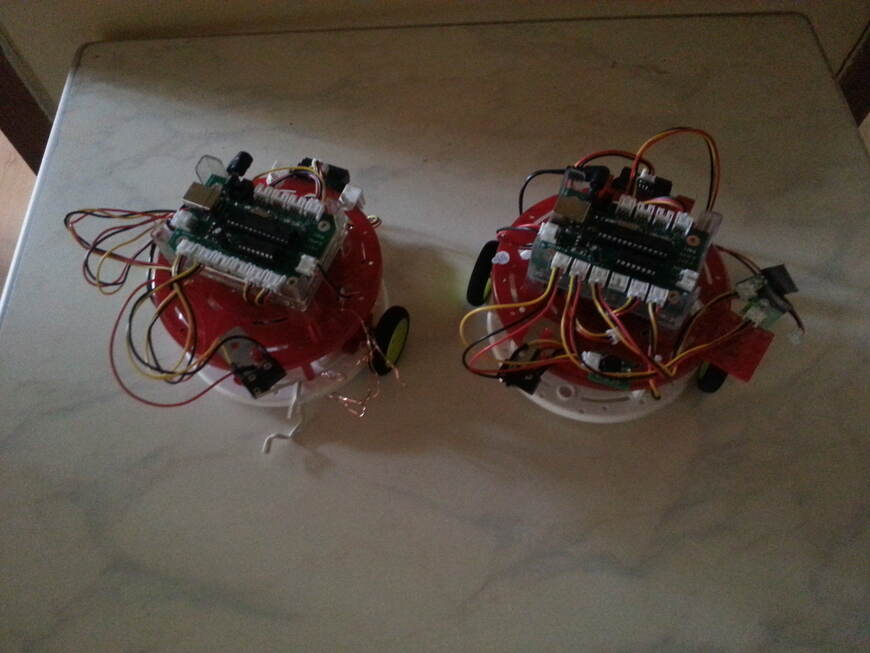 Halk robot
