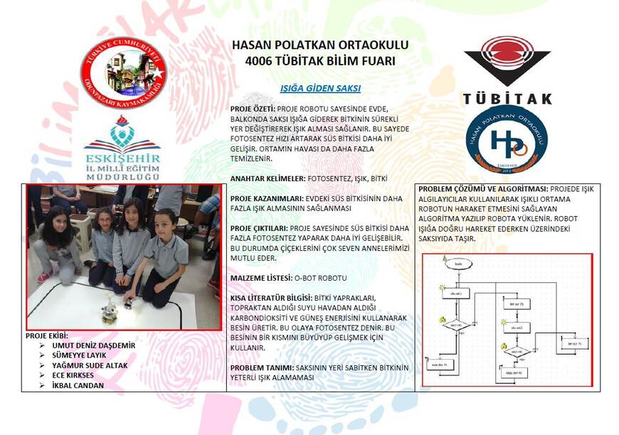 Işığa Giden Saksı