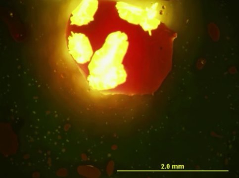 Işık Yayan Aşırı Soğutulmuş Sıvı