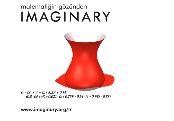 “IMAGINARY, açık matematik” Ağı Türkçe Yayına Başladı