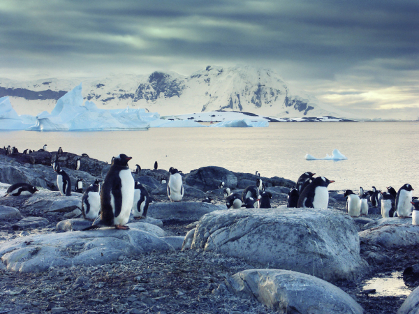 3. Ulusal Antarktika Bilim Seferi’ne Katılan Türk Ekibi Yola Çıktı