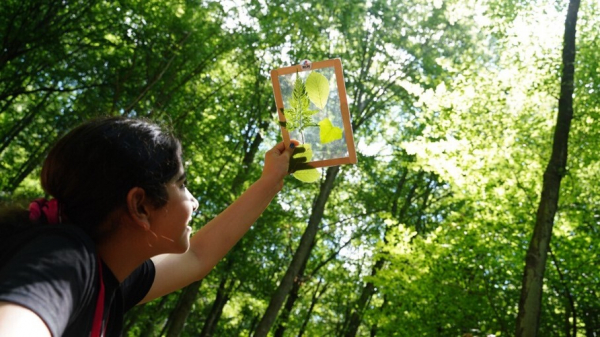 TÜBİTAK 4004 Doğa Eğitimi ve Bilim Okulları Destekleme Programı’nın 2025 Yılı Çağrısı Yayınlandı!