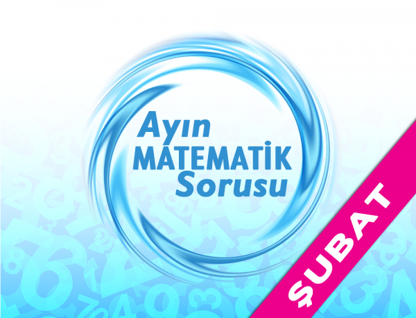 Ayın Matematik Sorusu - Şubat 2017