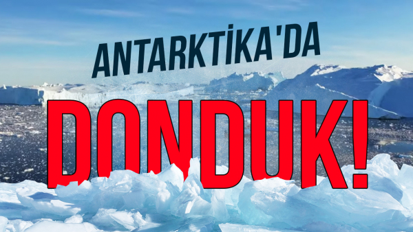 Antarktika&#039;daki Kritik Hammaddeler