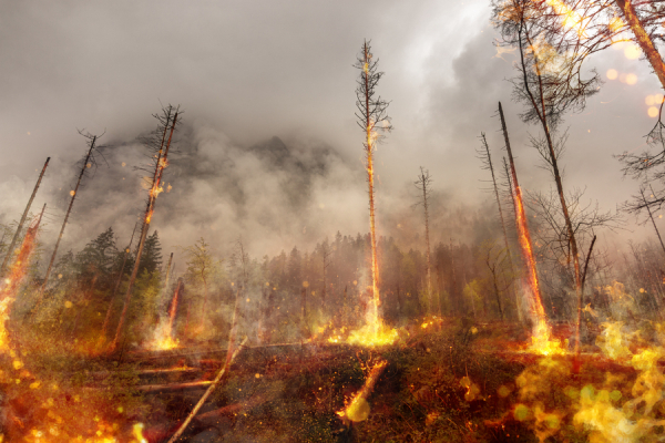 Kanada'daki Orman Yangını Sanılandan Daha Büyük Tehlikelere Sebep Olabilir